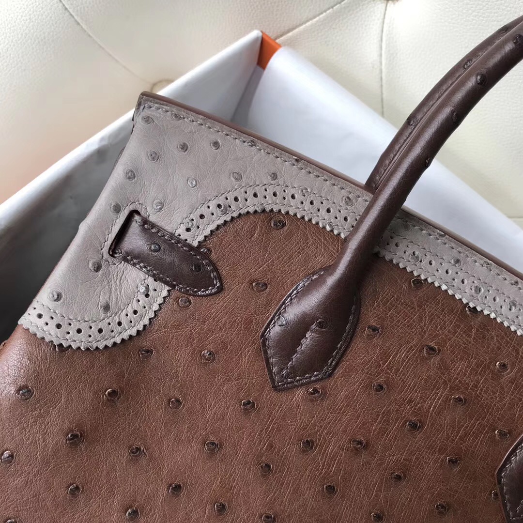 Singapore Hermes Birkin 30cm Ghillise鴕鳥蕾絲三拼色 土黃色/巧克力/大象灰