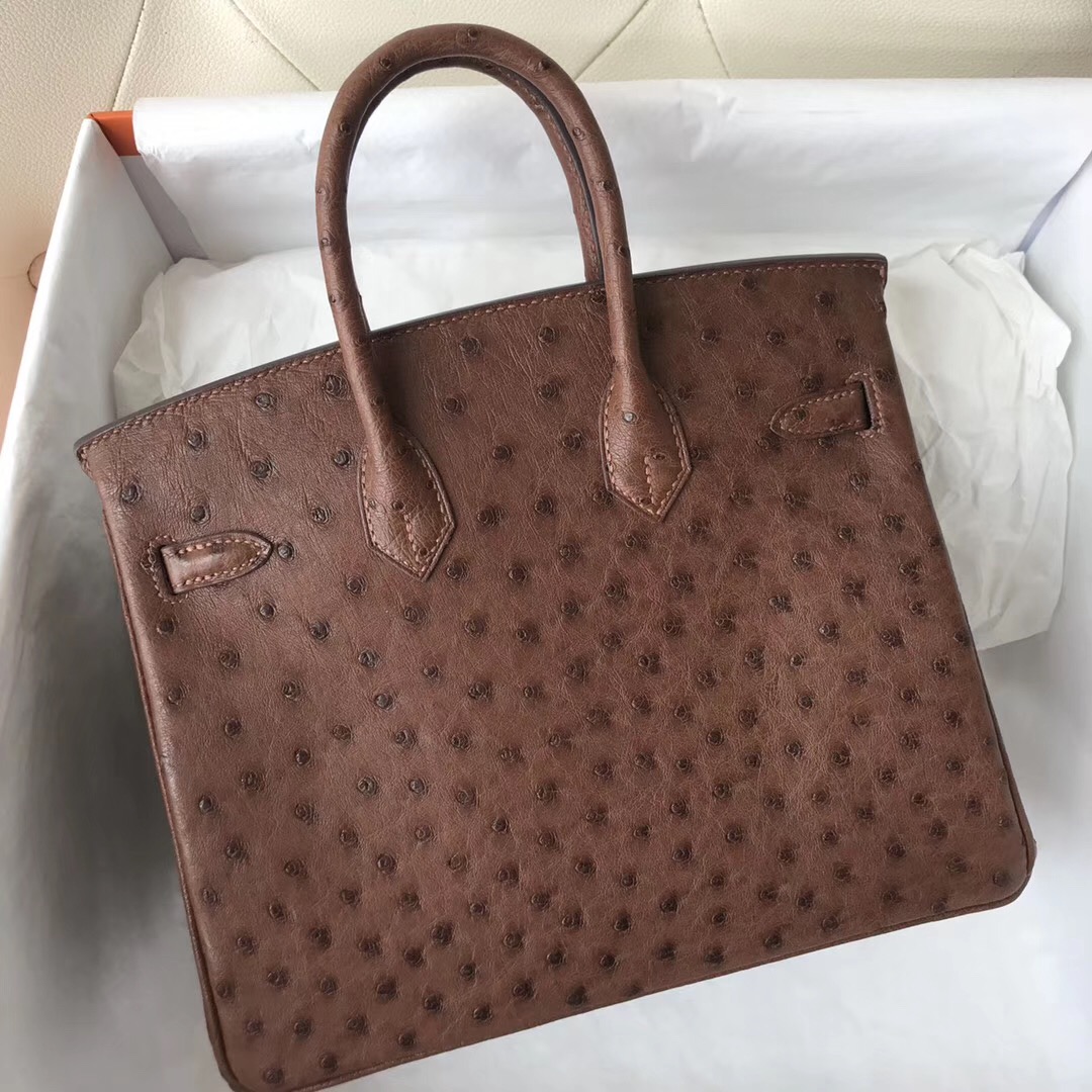 愛馬仕鉑金包 Malaysia Hermes Birkin 25cm 4A Cafe 咖啡色 KK Ostrich Skin