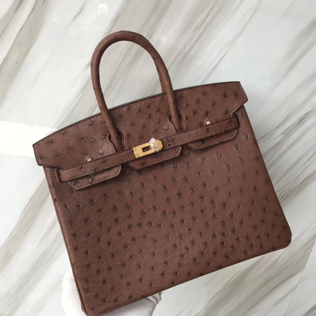 愛馬仕鉑金包 Malaysia Hermes Birkin 25cm 4A Cafe 咖啡色 KK Ostrich Skin