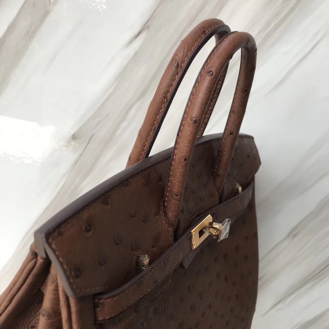 愛馬仕鉑金包 Malaysia Hermes Birkin 25cm 4A Cafe 咖啡色 KK Ostrich Skin