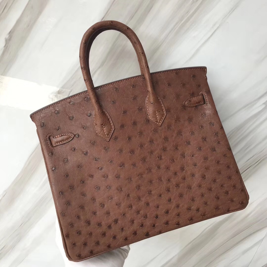 愛馬仕鉑金包 Malaysia Hermes Birkin 25cm 4A Cafe 咖啡色 KK Ostrich Skin