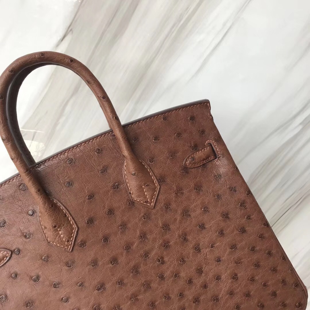 愛馬仕鉑金包 Malaysia Hermes Birkin 25cm 4A Cafe 咖啡色 KK Ostrich Skin