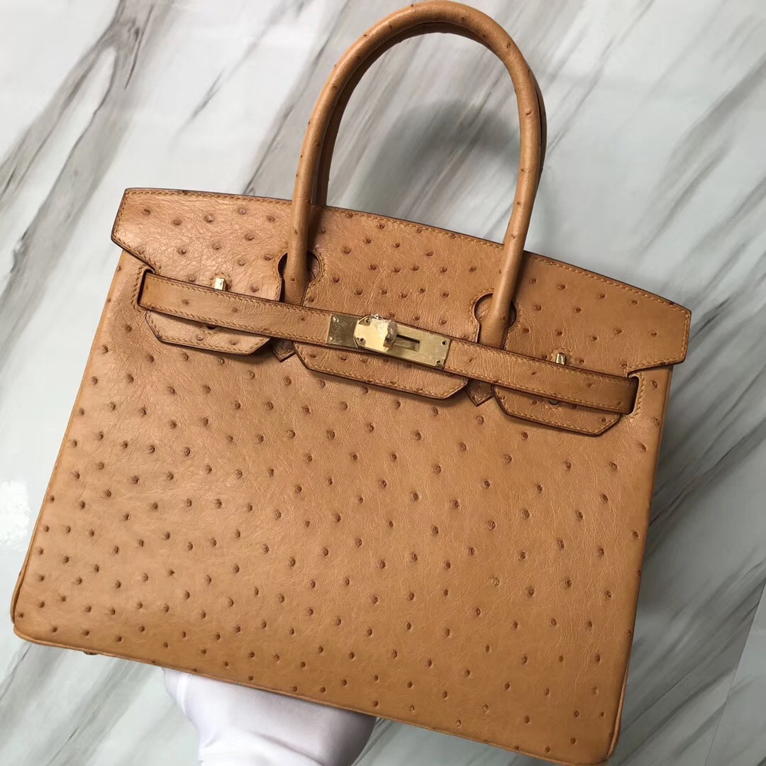 愛馬仕鉑金包 加拿大網站 Canada Hermes Birkin 30cm Ostrich CK37 Gold