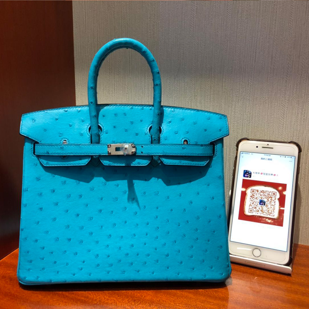 香港購買愛馬仕鉑金包Hermes Birkin 25cm Ostrich 3P馬卡龍藍 Blue Atoll