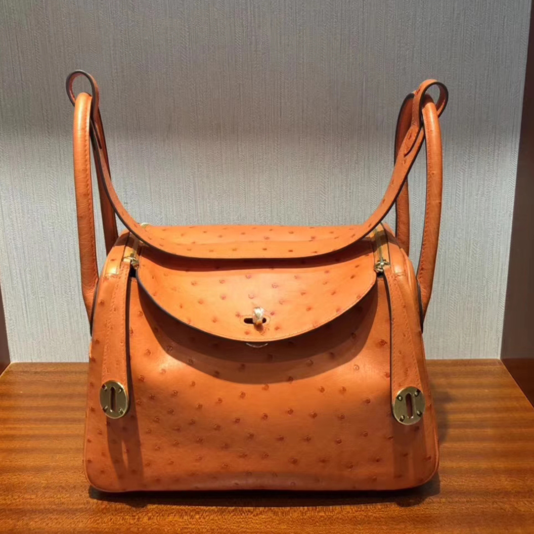 愛馬仕lindy價格 Hermes Lindy bag 26cm CK93 Orange橙色 KK南非鴕鳥皮