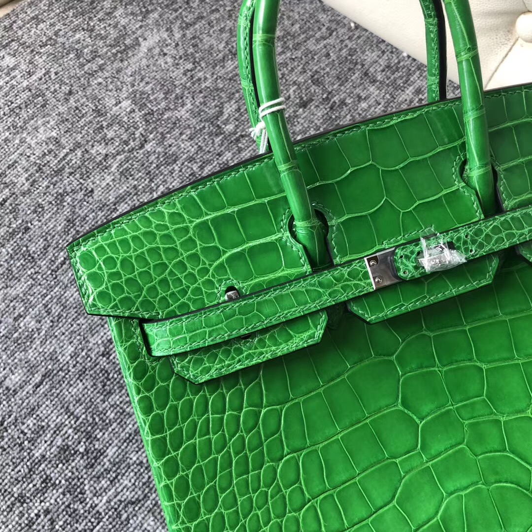 愛馬仕包包價格澳洲專賣店 Australia Hermes Birkin 25cm 1L仙人掌綠