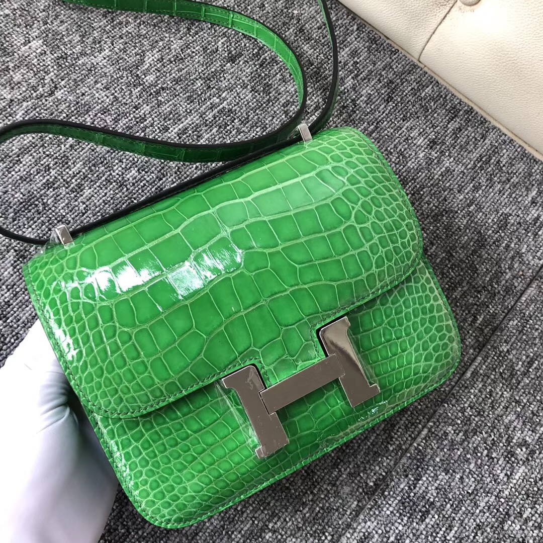 臺北鉑金包價格 Hermes Constance 19cm 1L仙人掌綠 Cactus 美洲鱷