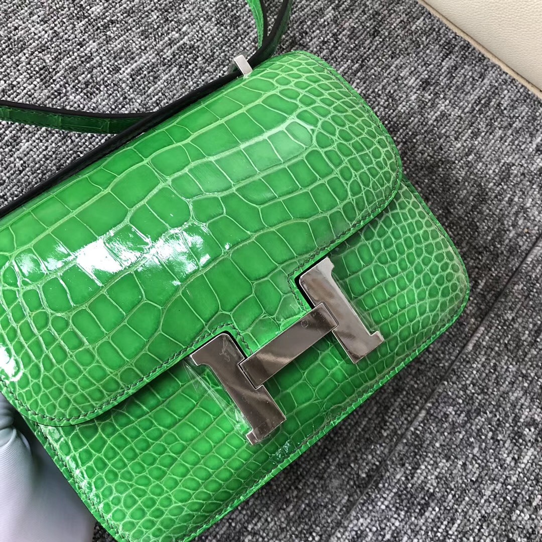 臺北鉑金包價格 Hermes Constance 19cm 1L仙人掌綠 Cactus 美洲鱷