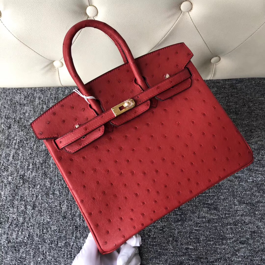 新加坡愛馬仕鉑金包定制Singapore Hermes Birkin 25cm Q5 Rouge casaque