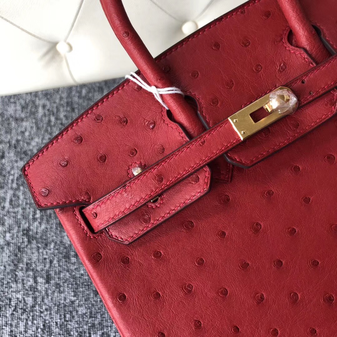 新加坡愛馬仕鉑金包定制Singapore Hermes Birkin 25cm Q5 Rouge casaque