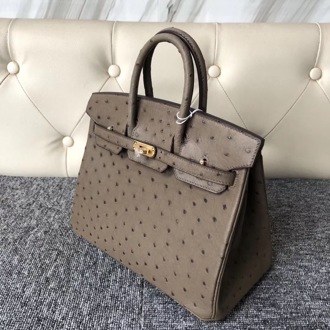 香港愛馬仕鉑金包定制 Hong Kong Hermes Birkin 25cm CK18大象灰 Etoupe鴕鳥皮