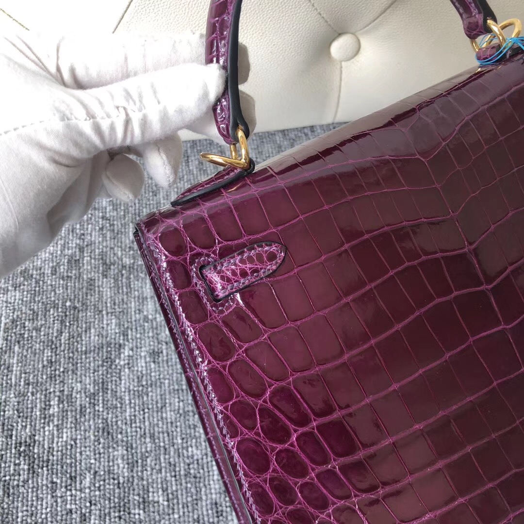 Singapore Hermes Kelly 25cm 59 Raisin 葡萄紫 尼羅鱷 Shiny nilo crocodile