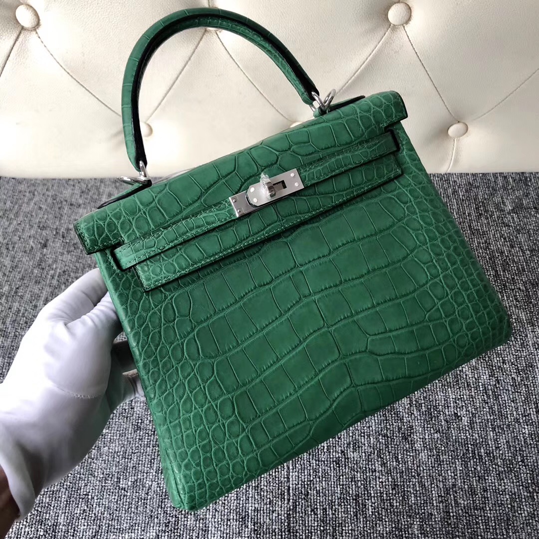 Hong Kong Hermes Kelly 25cm Matte alligator crocodile 1L Cactus 仙人掌綠