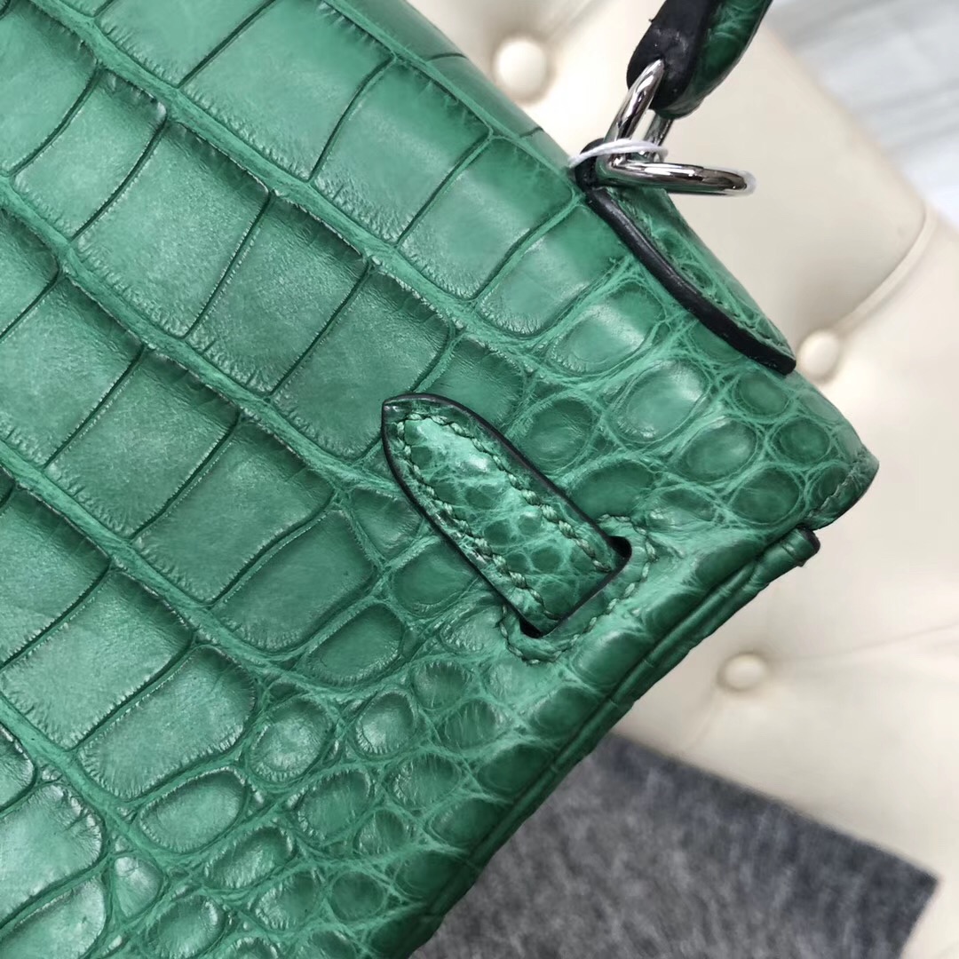 Hong Kong Hermes Kelly 25cm Matte alligator crocodile 1L Cactus 仙人掌綠