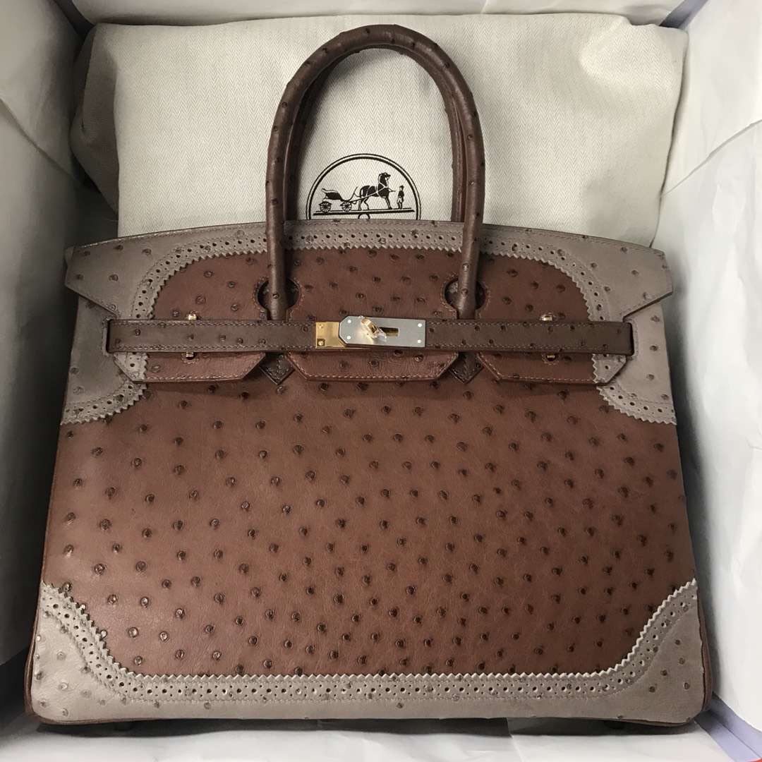 Hermes Birkin 35cm Ostrich Ghillise CK47巧克力色/CK18大象灰/深咖啡