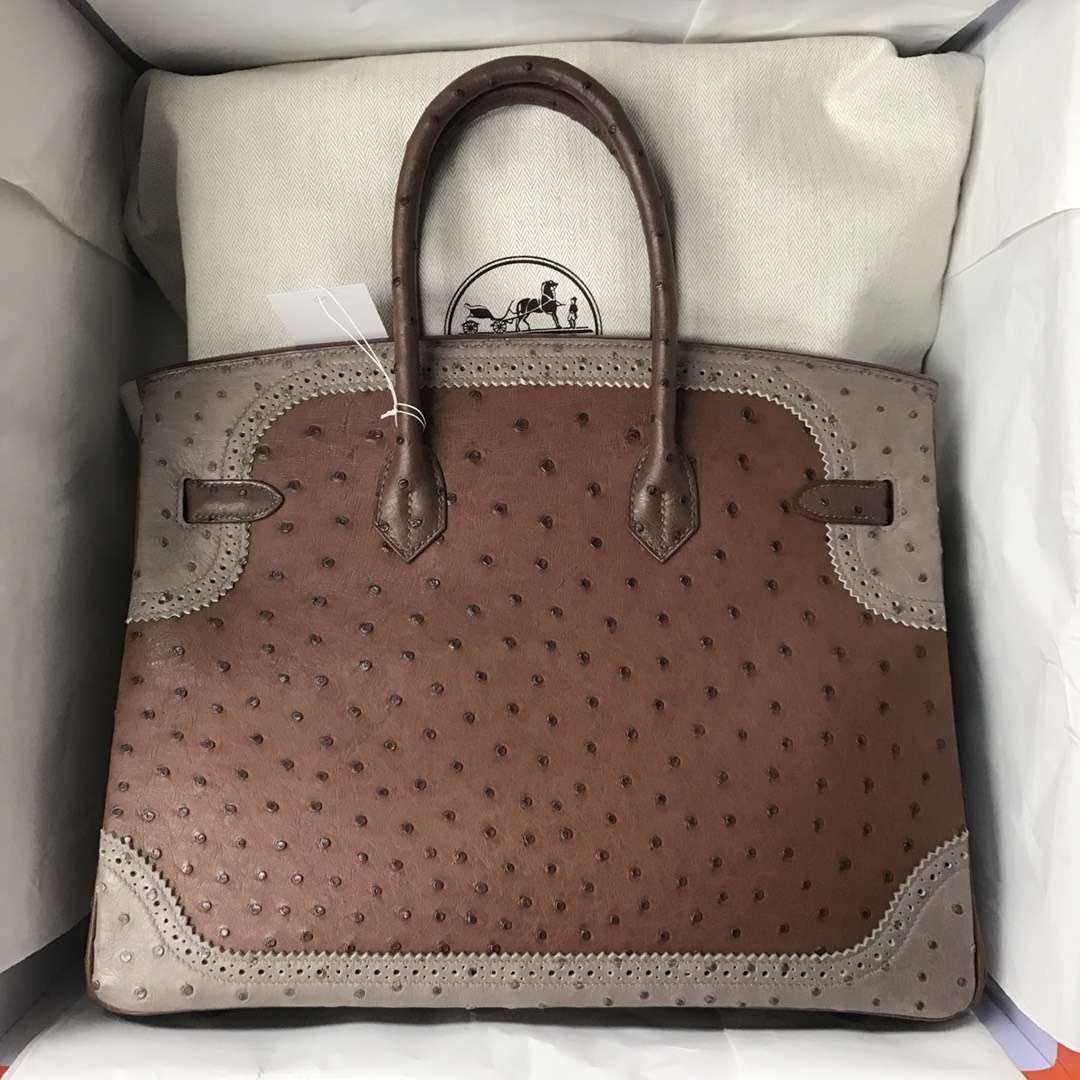 Hermes Birkin 35cm Ostrich Ghillise CK47巧克力色/CK18大象灰/深咖啡