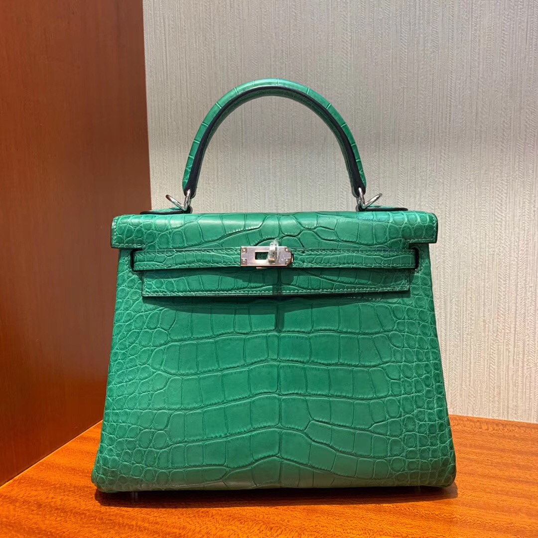 愛馬仕凱莉包專櫃價格 Hermes Kelly 25cm 1L仙人掌綠 Cactus 方框 美洲鱷