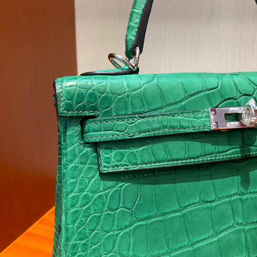 愛馬仕凱莉包專櫃價格 Hermes Kelly 25cm 1L仙人掌綠 Cactus 方框 美洲鱷