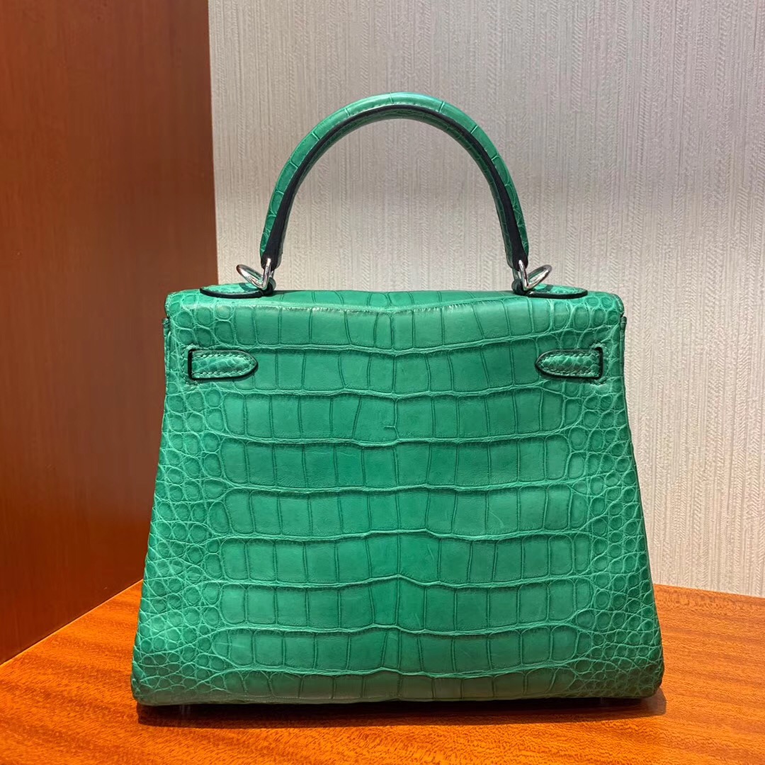 愛馬仕凱莉包專櫃價格 Hermes Kelly 25cm 1L仙人掌綠 Cactus 方框 美洲鱷