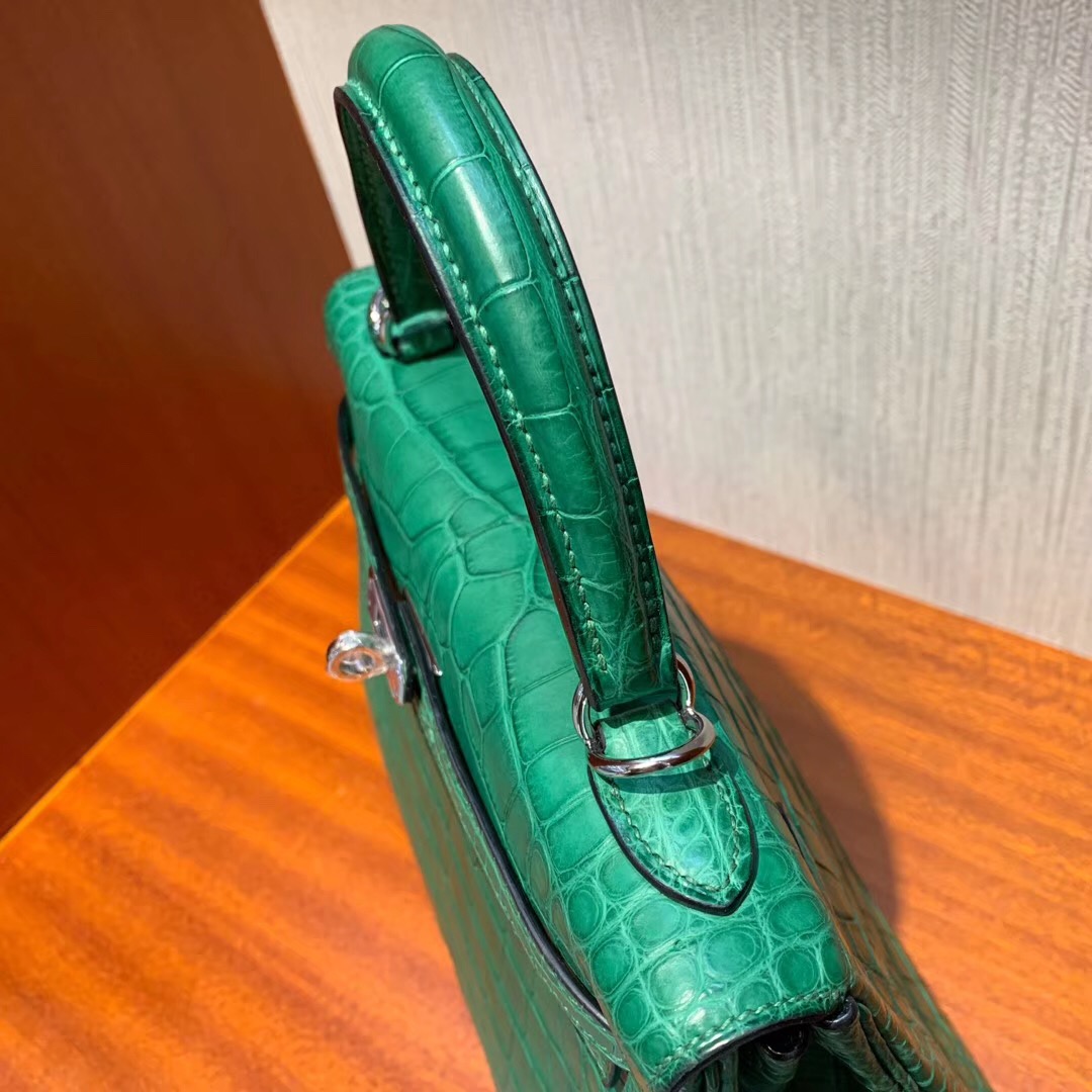 愛馬仕凱莉包專櫃價格 Hermes Kelly 25cm 1L仙人掌綠 Cactus 方框 美洲鱷