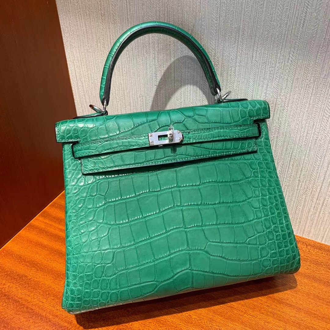 愛馬仕凱莉包專櫃價格 Hermes Kelly 25cm 1L仙人掌綠 Cactus 方框 美洲鱷