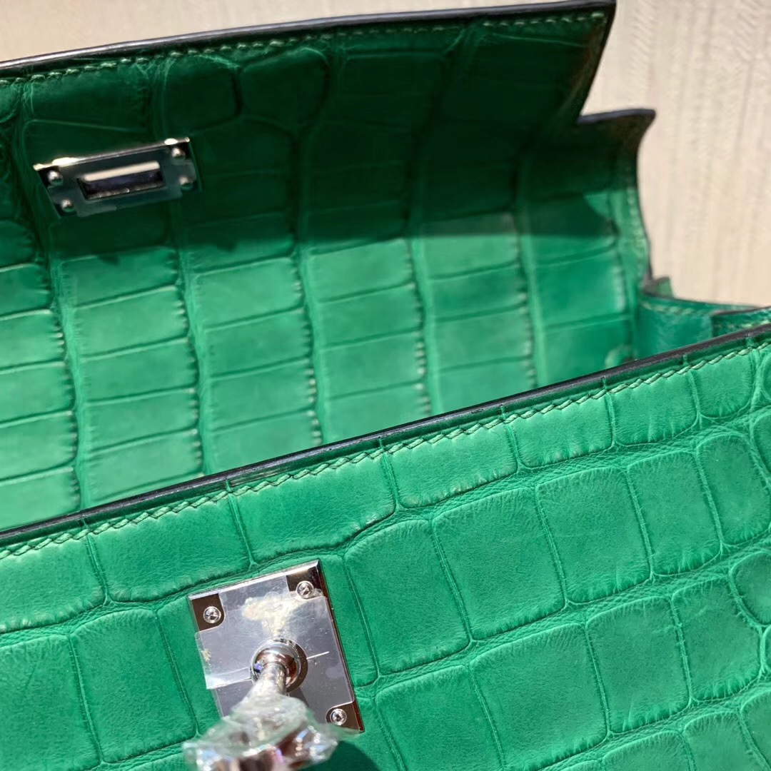 愛馬仕凱莉包專櫃價格 Hermes Kelly 25cm 1L仙人掌綠 Cactus 方框 美洲鱷