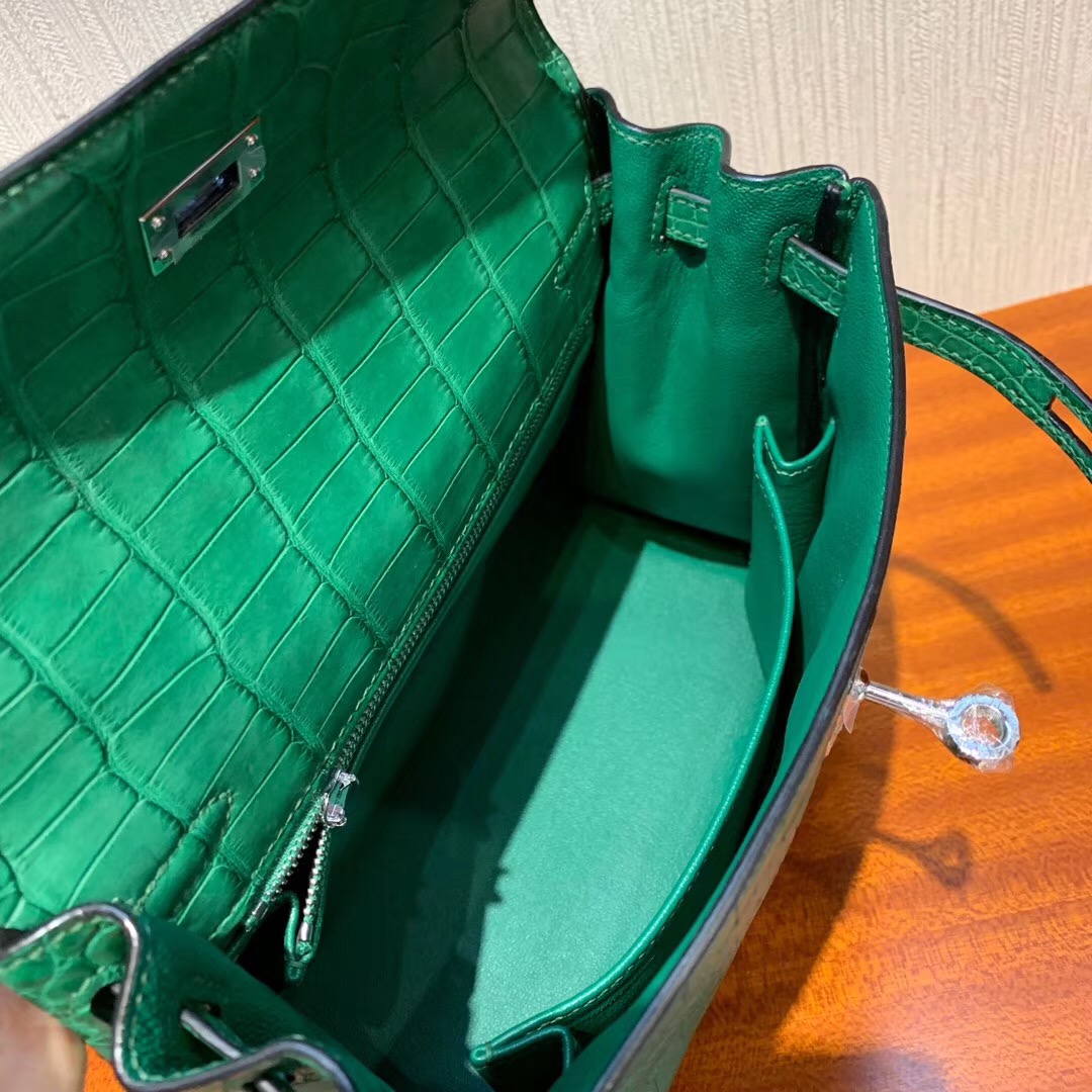 愛馬仕凱莉包專櫃價格 Hermes Kelly 25cm 1L仙人掌綠 Cactus 方框 美洲鱷