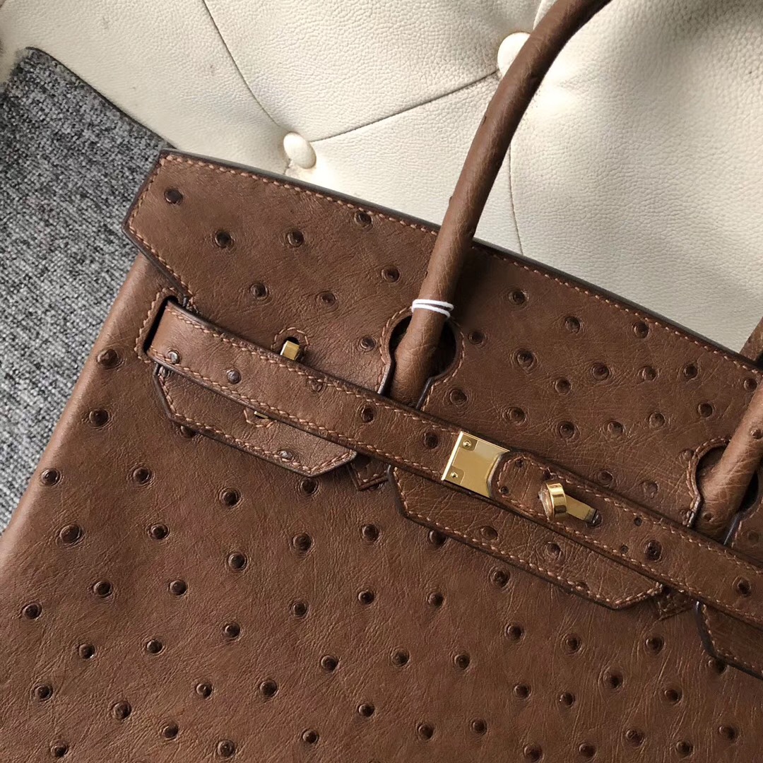 香港愛馬仕鴕鳥皮鉑金包 Hermes Birkin 30cm CK47巧克力色 Coffee Ostrich