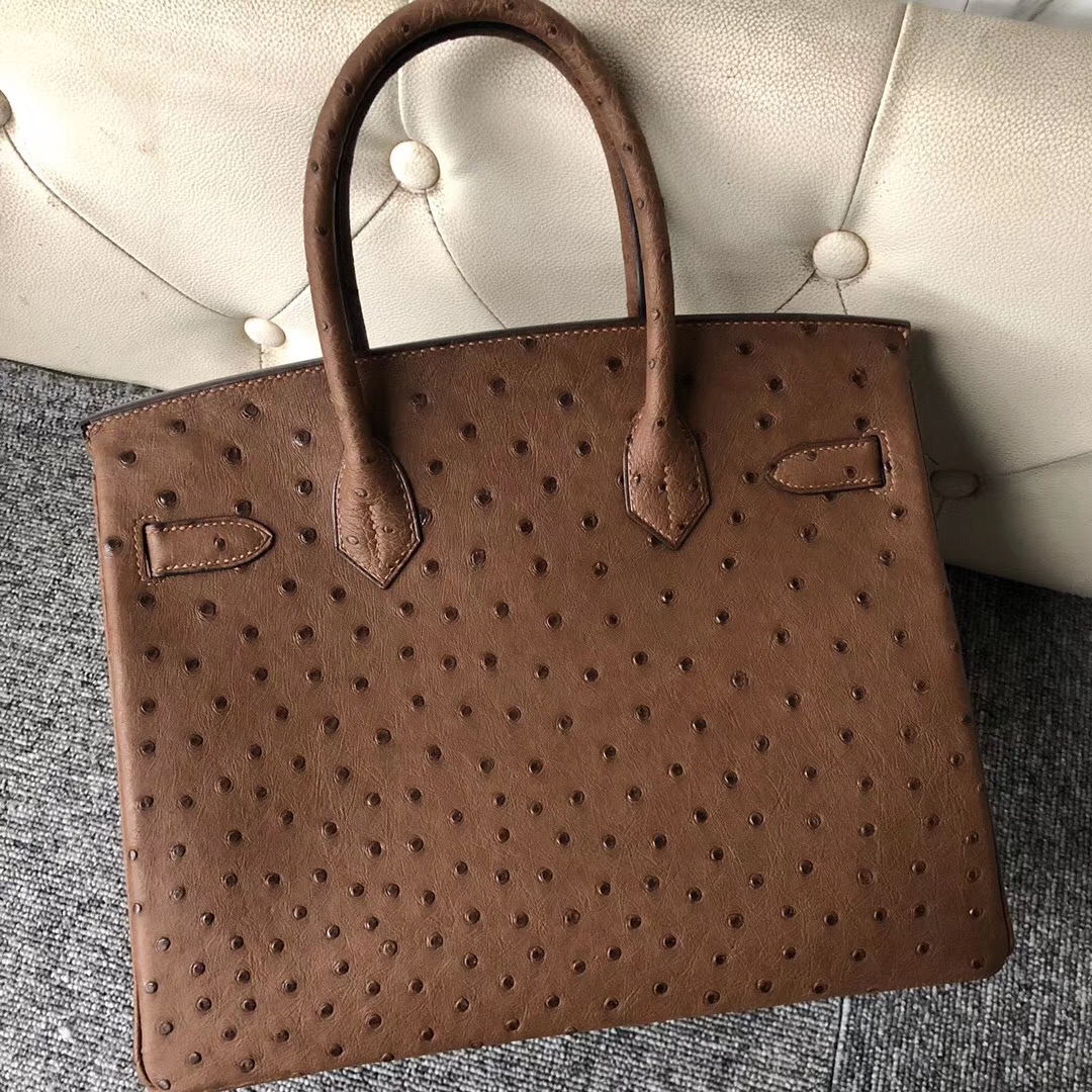 香港愛馬仕鴕鳥皮鉑金包 Hermes Birkin 30cm CK47巧克力色 Coffee Ostrich