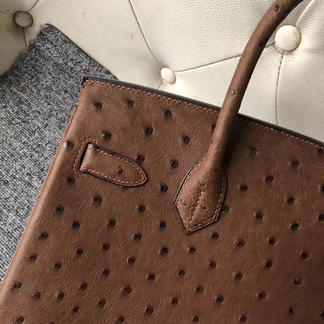 香港愛馬仕鴕鳥皮鉑金包 Hermes Birkin 30cm CK47巧克力色 Coffee Ostrich