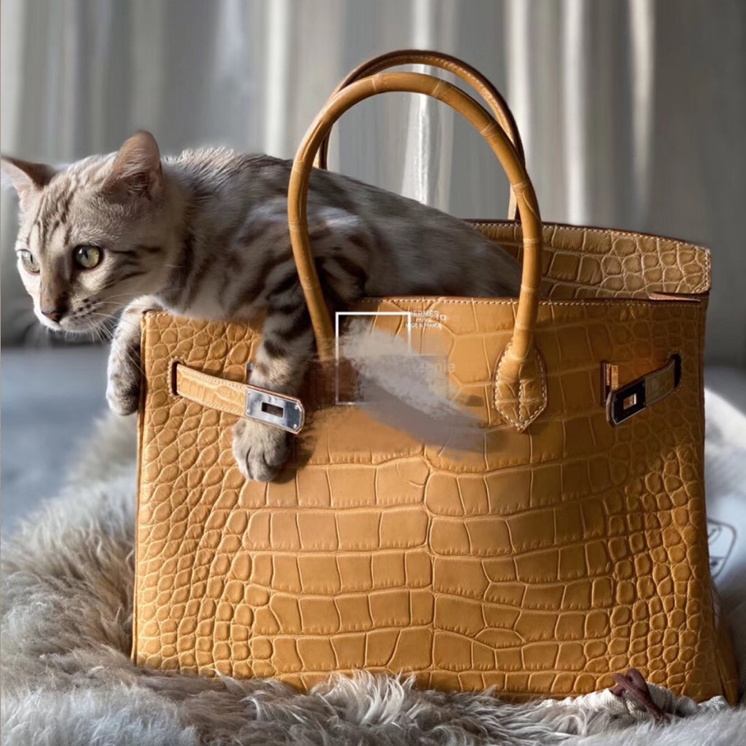 愛馬仕鉑金包尺寸大全 Hermes Birkin 30cm 霧面美洲鱷魚 麥穗色