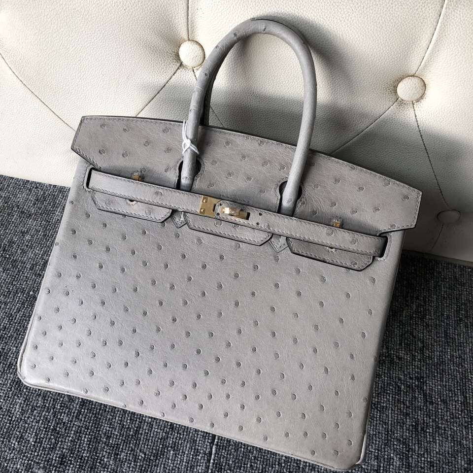 愛馬仕鉑金包尺寸 Hermes Birkin 25cm Ostrich 4Z海鷗灰 Girls Mouette