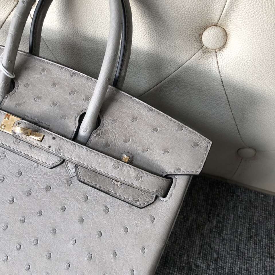 愛馬仕鉑金包尺寸 Hermes Birkin 25cm Ostrich 4Z海鷗灰 Girls Mouette