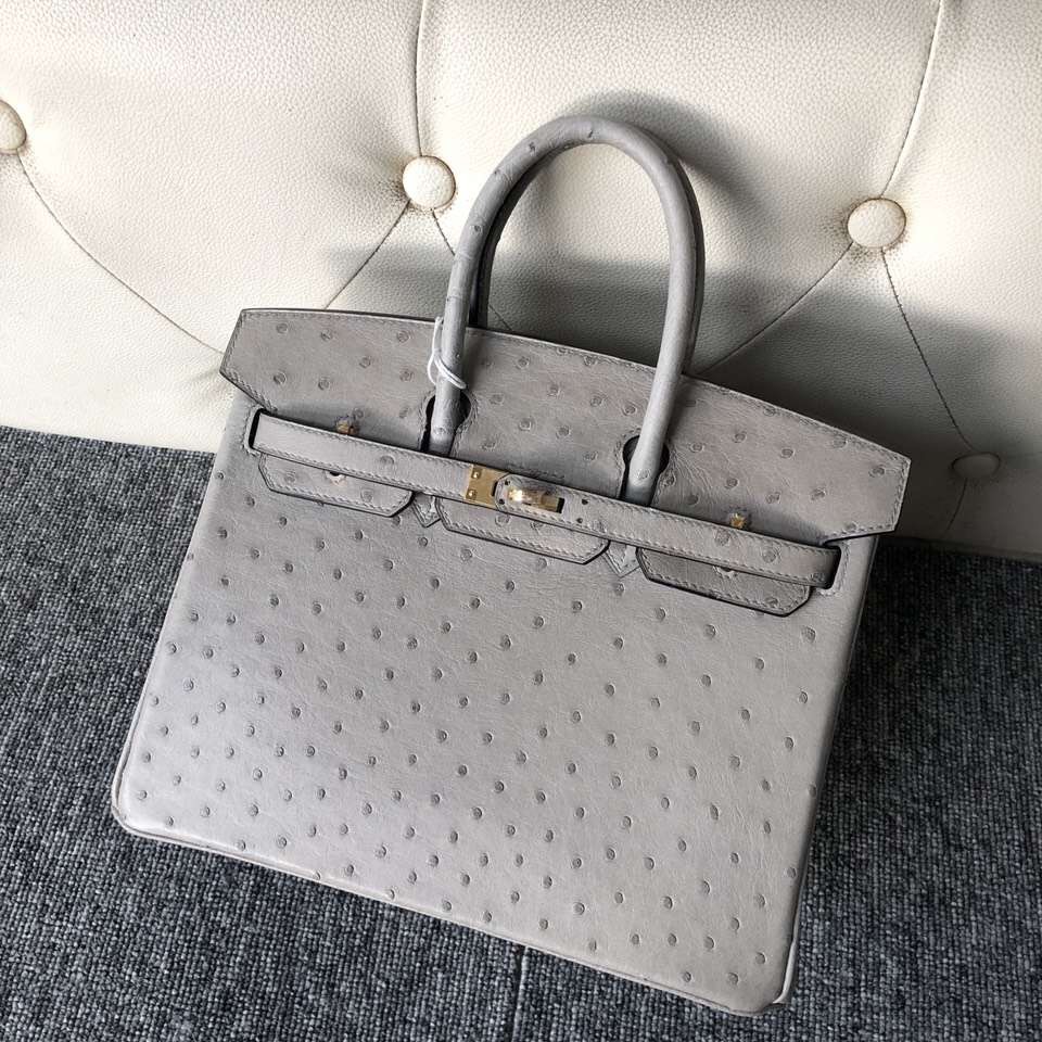 愛馬仕鉑金包尺寸 Hermes Birkin 25cm Ostrich 4Z海鷗灰 Girls Mouette