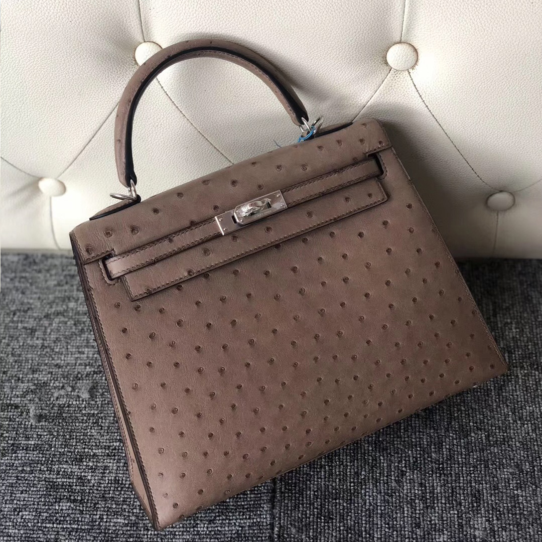 臺灣臺中市愛馬仕鴕鳥皮凱莉包 Taiwan Hermes Kelly 25cm Ostrich 南非鴕鳥皮