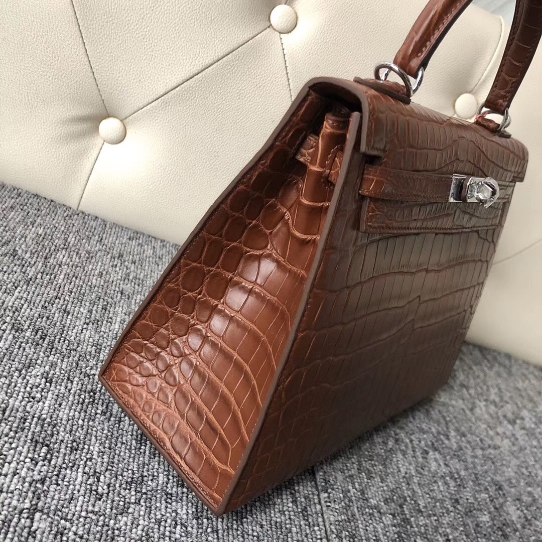 愛馬仕包包越南官網 Hermes Kelly 25cm 尼羅鱷 CK37金棕色 Gold 銀扣