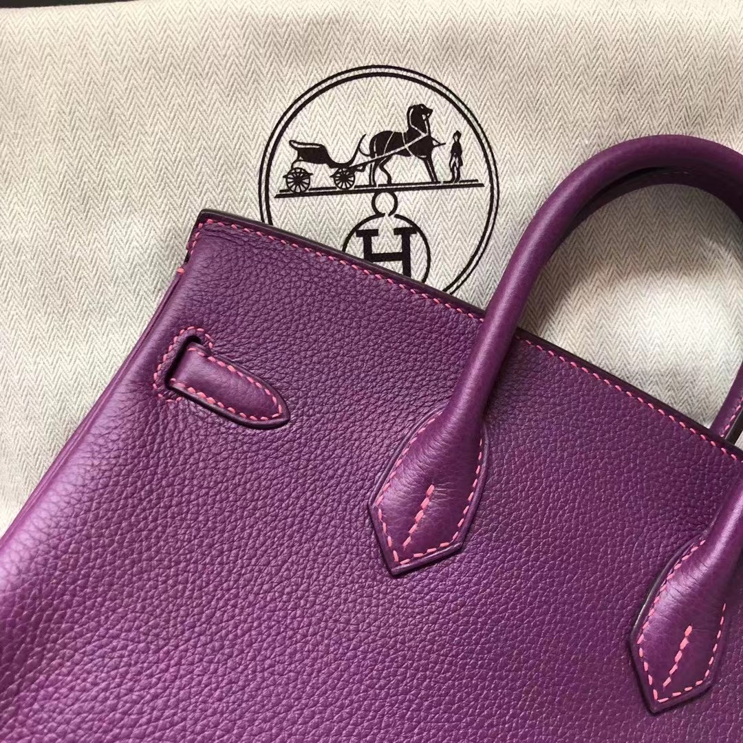 Hermes Birkin 25 Togo P9 Anemone 海葵紫內拼 8W Rose Azalée 新唇膏粉