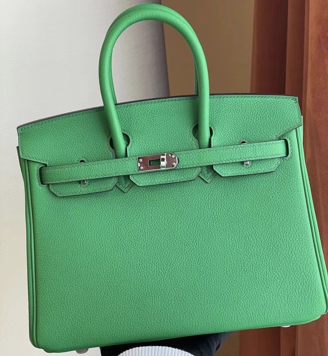 Hermes Birkin 25cm Togo 1K bambou竹子綠內拼9I Rose Magnolia玉蘭粉 銀扣