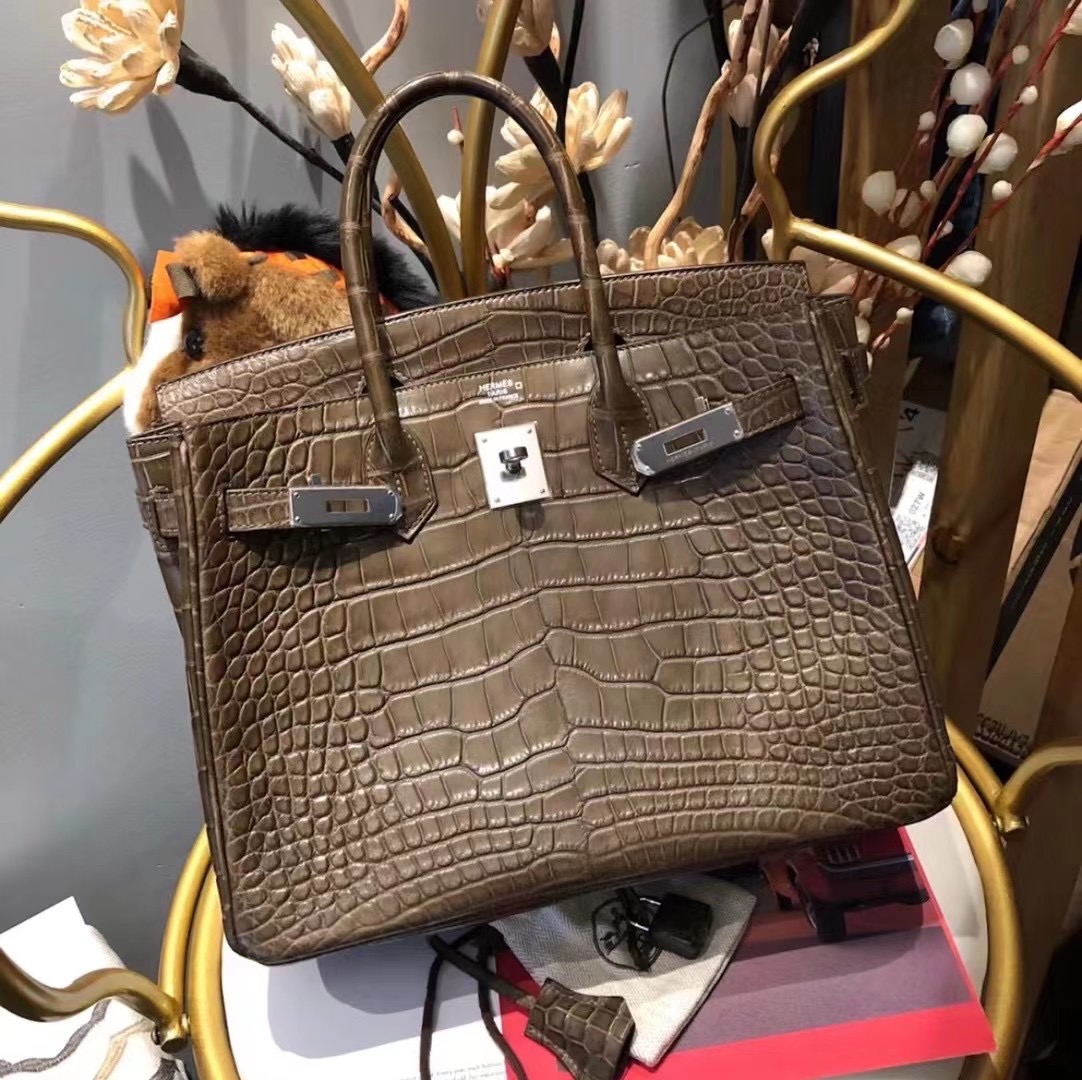 Hermes Birkin 25cm 18 Etoupe 大象灰 霧面美洲鱷魚 Matte Alligator Crocodile