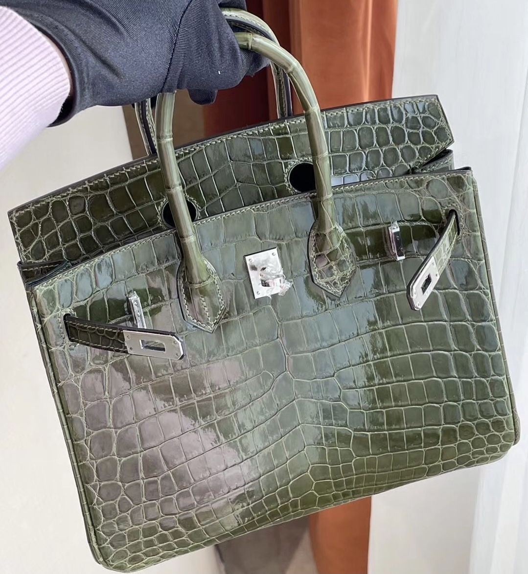 愛馬仕鉑金包25寸專櫃價格 Hermes Birkin 25 6H Olive green 橄欖綠 尼羅鱷魚