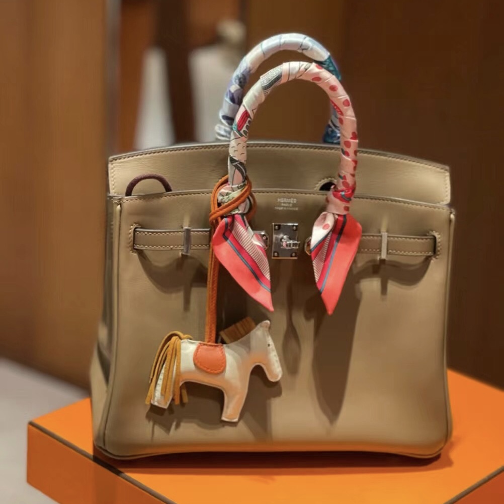 Hermes Birkin 25cm Swift D0 beige de weimer 威犬馬米色 銀扣