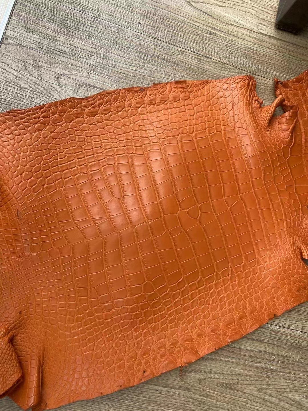 Hermes 美洲鱷魚 Matte Alligator Crocodile 8V Orange Poppy 罌粟橘