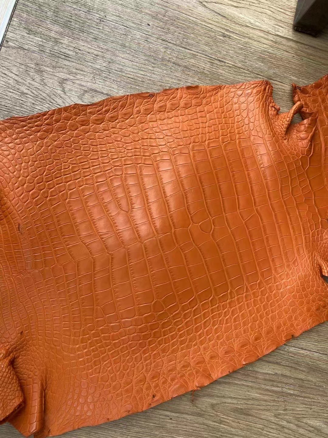 Hermes 美洲鱷魚 Matte Alligator Crocodile 8V Orange Poppy 罌粟橘