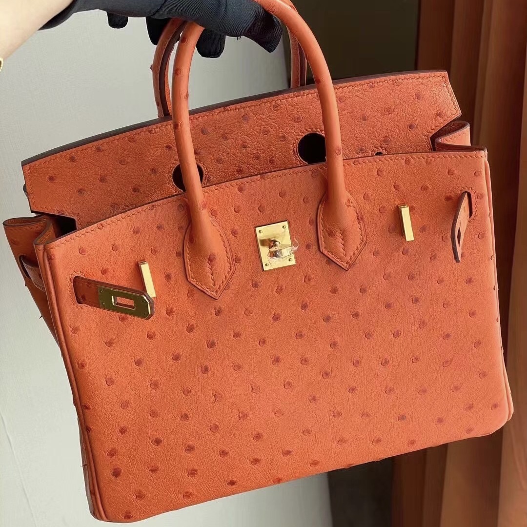 Saudi Arabia Hermes Birkin 25cm 93 Orange 橙色南非KK鴕鳥皮金扣