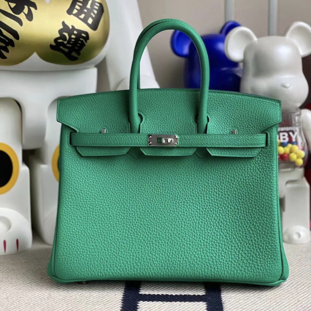 愛馬仕鉑金包及價格 Hong Kong Hermes Birkin 25cm Togo 6W Menthe 薄荷綠