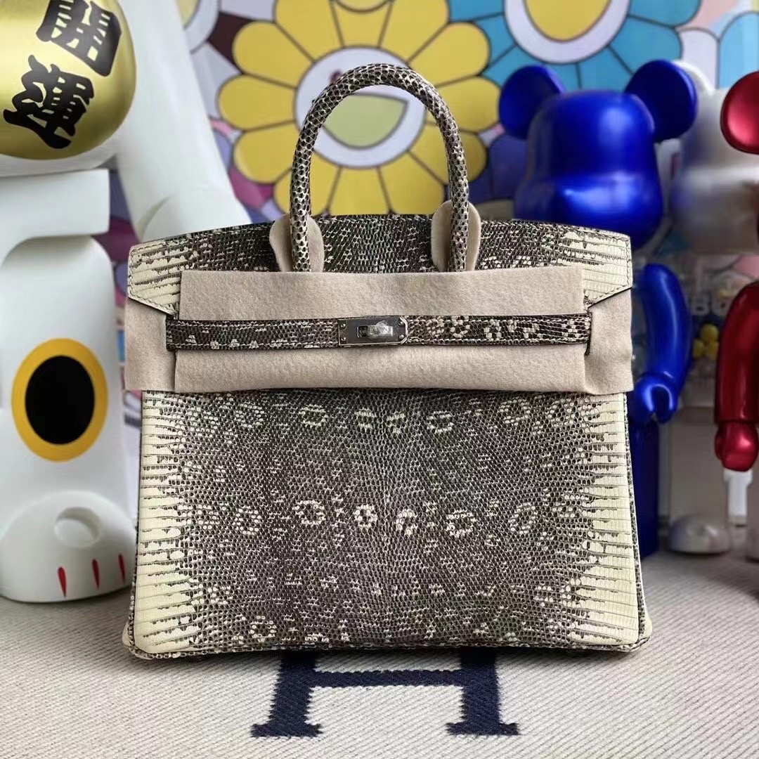 愛馬仕喜馬拉雅蜥蜴皮鉑金包 Hermes Birkin 25cm Lizard 01自然色蜥蜴 銀扣