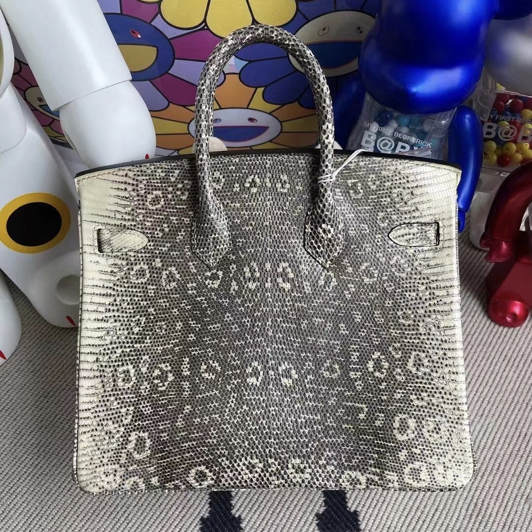 愛馬仕喜馬拉雅蜥蜴皮鉑金包 Hermes Birkin 25cm Lizard 01自然色蜥蜴 銀扣