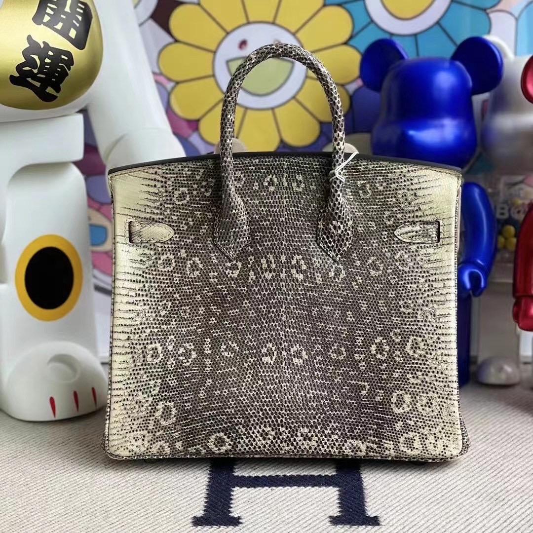 愛馬仕喜馬拉雅蜥蜴皮鉑金包 Hermes Birkin 25cm Lizard 01自然色蜥蜴 銀扣