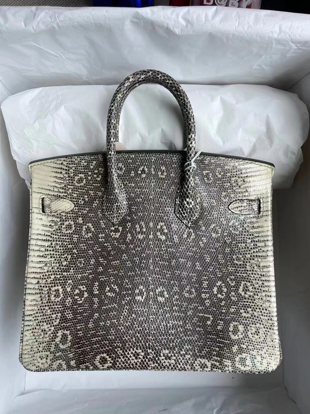 愛馬仕喜馬拉雅蜥蜴皮鉑金包 Hermes Birkin 25cm Lizard 01自然色蜥蜴 銀扣