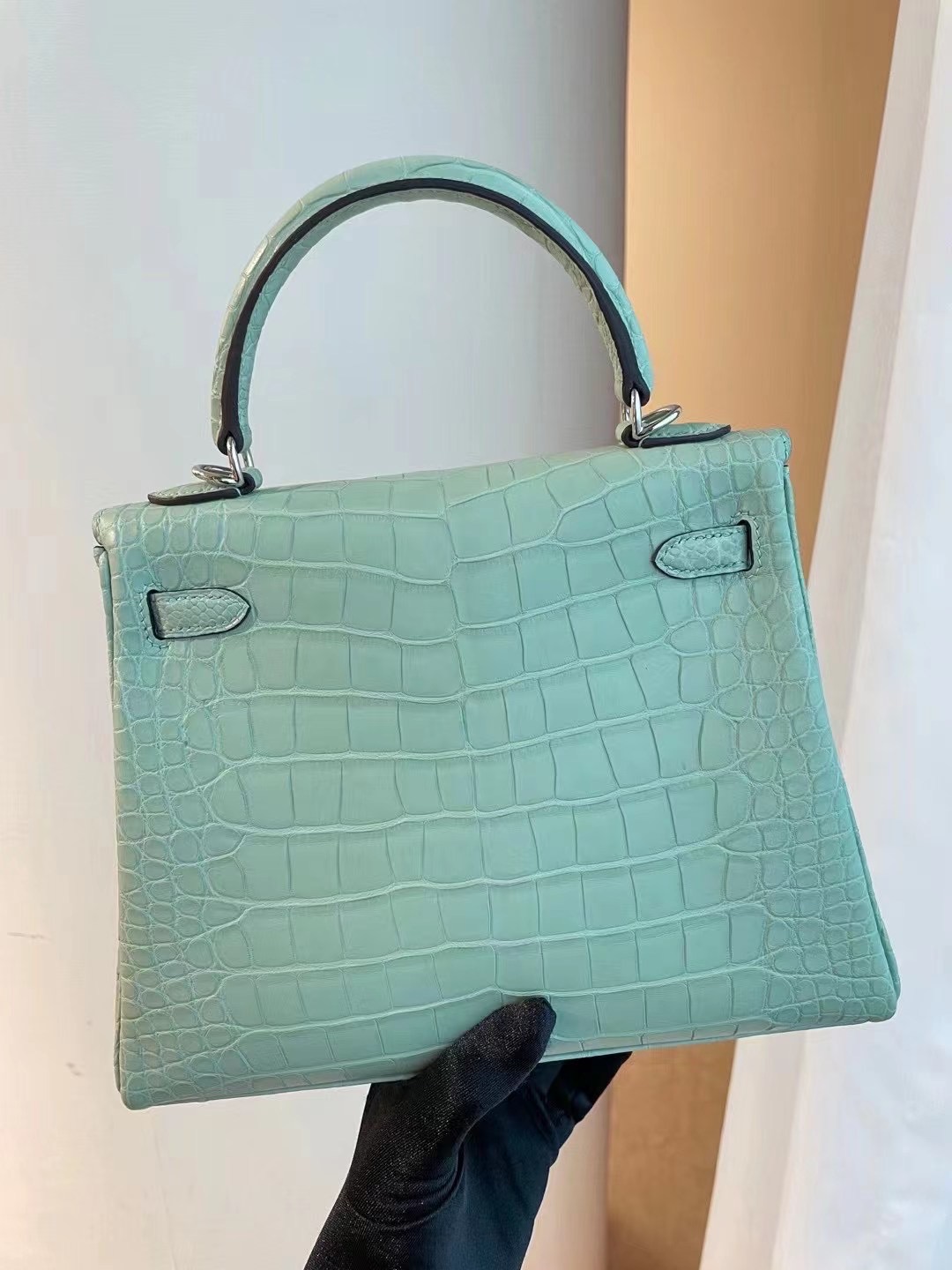 愛馬仕凱莉包官方價格 Hermes kelly 25cm 6U Vert Dfau 霧面美洲鱷魚銀扣